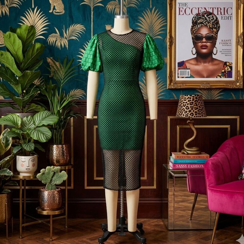 Aomei Multimedia Puff Sleve Fishnet Dress Size Small